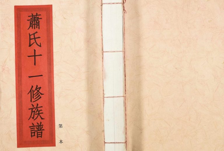 2012年兰陵萧氏十一修族谱[不分卷]江西赣州 宁都萧姓电子版家谱下载