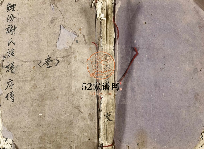 1949年于都谢氏联修族谱初修 江西亲睦堂谢姓电子版家谱下载