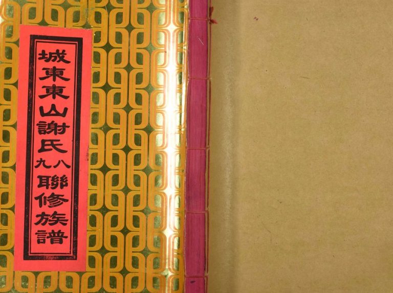 1995年城东东山谢氏八九联修族谱 江西宁都谢姓电子版家谱下载