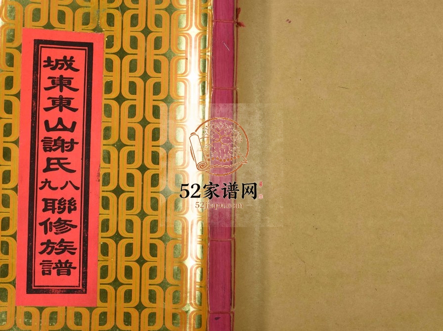 1995年城东东山谢氏八九联修族谱 江西宁都谢姓电子版家谱下载