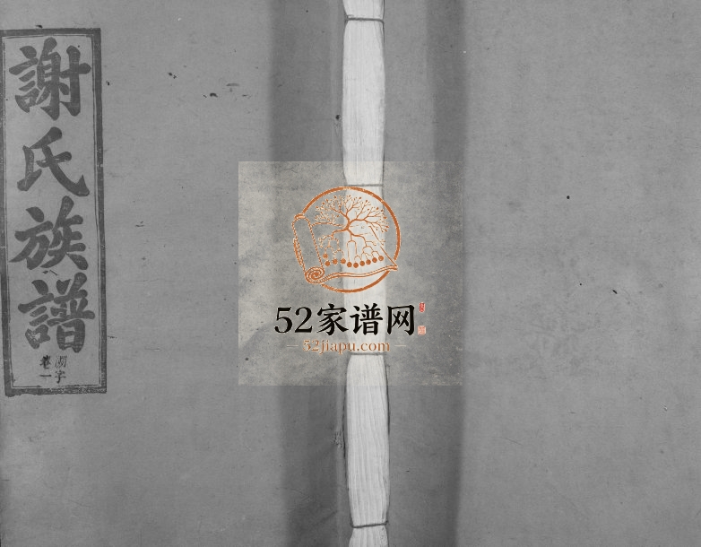1944年寻邬闰兴户谢氏二修族谱[16卷]江西寻乌陈留堂谢姓电子版家谱下载