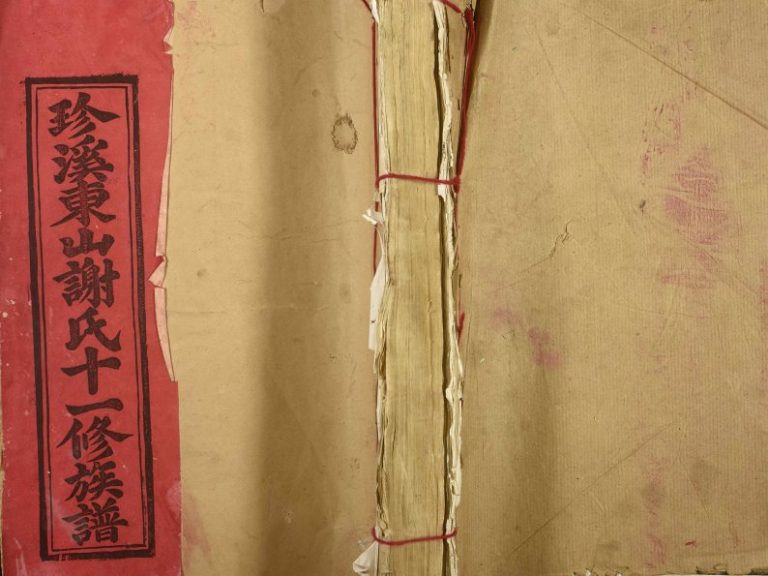 1994年珍溪东山谢氏十一修族谱[不分卷]江西宁都 于都谢姓电子版家谱下载