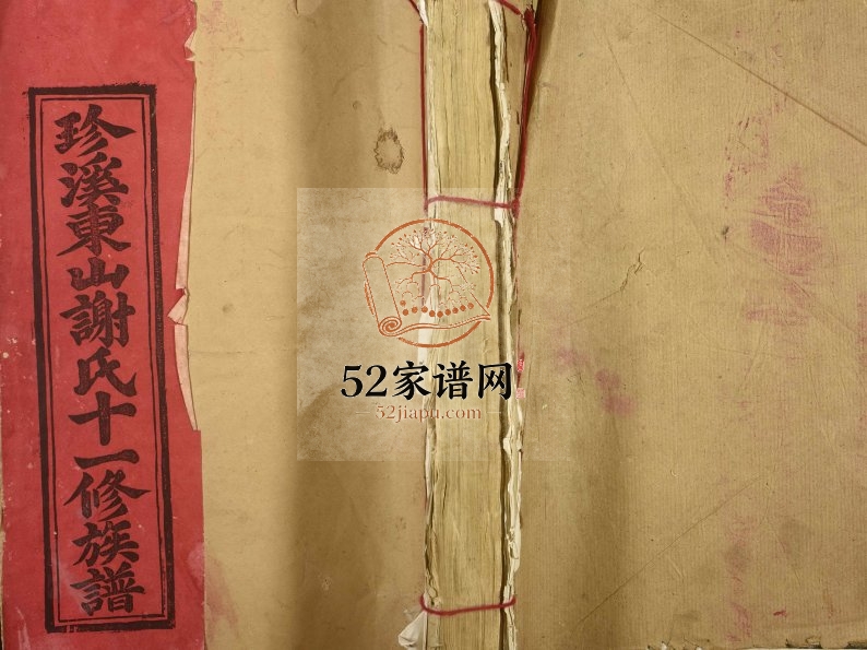 1994年珍溪东山谢氏十一修族谱[不分卷]江西宁都 于都谢姓电子版家谱下载