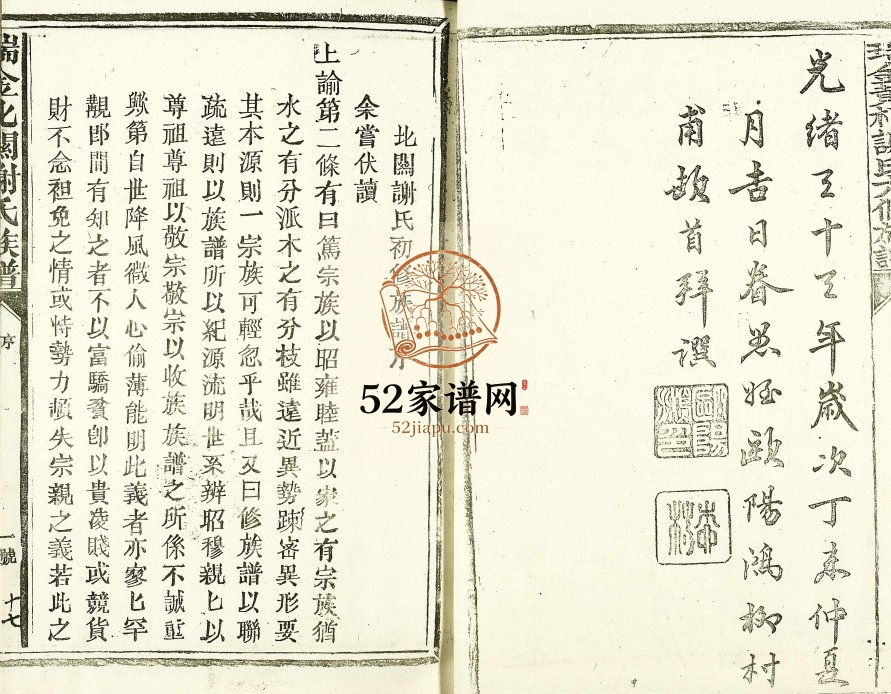 1994年瑞金黄栢北关谢氏首届联修族谱 江西谢姓电子版家谱下载