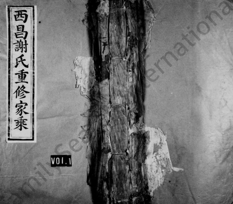 1805年西昌谢氏重修家乘 江西泰和 吉安谢姓电子版族谱下载