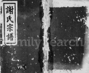 1877年修谢氏宗谱 江西修水文忠堂谢姓电子版族谱下载