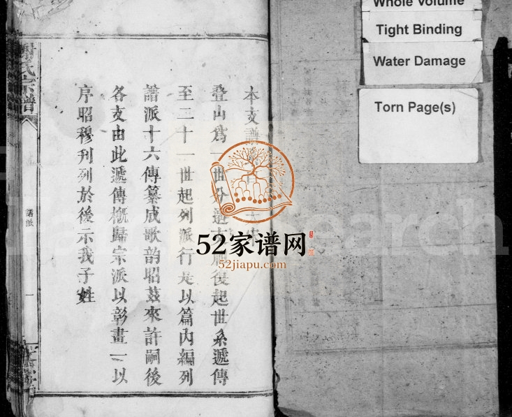 1877年修谢氏宗谱 江西修水文忠堂谢姓电子版族谱下载