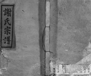 1895年三修谢氏宗谱[残卷]江西修水 铜鼓 安远良翰堂谢姓电子版族谱下载