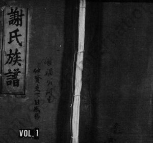 1861年重修谢氏族谱[正编20卷前后编各2卷]江西万载宝树堂谢姓电子版家谱下载