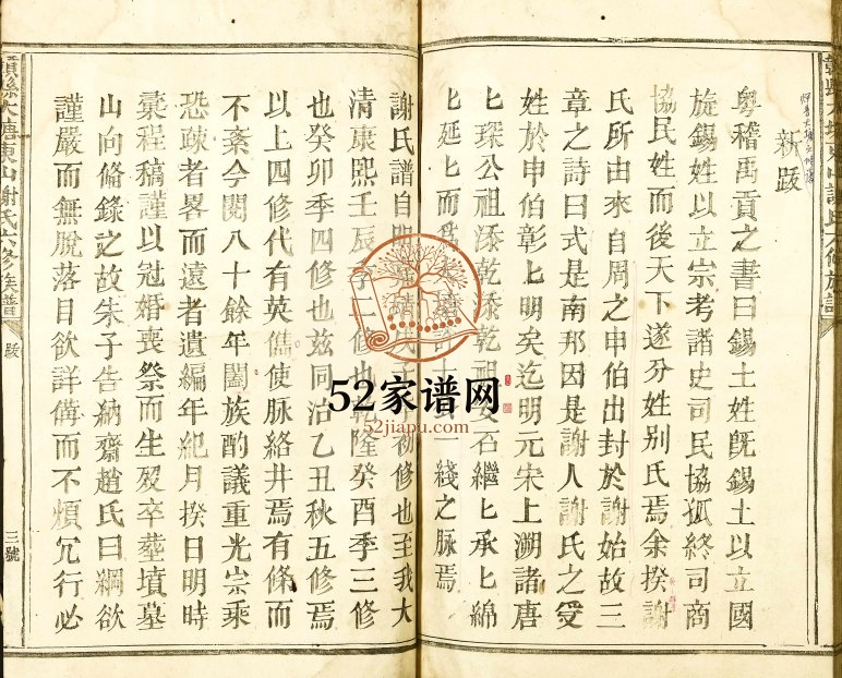 1924年赣县大塘东山谢氏六修族谱 江西赣县区积善堂谢姓电子版家谱下载