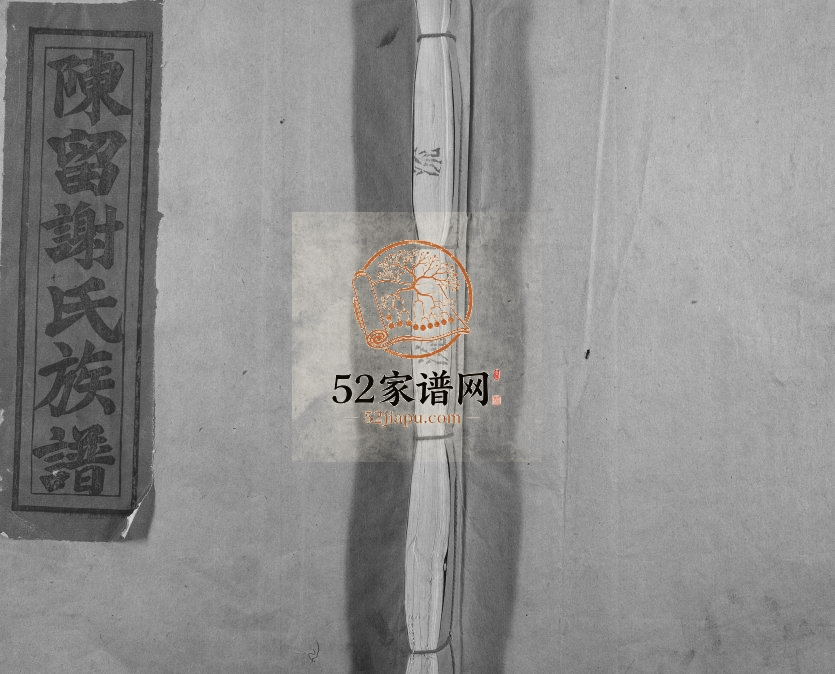1994年陈留郡谢氏十修族谱 江西兴国谢姓电子版家谱下载