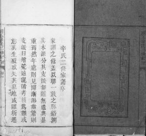 1880年瑶玉辛氏二修家谱 江西宁都辛姓电子版族谱下载