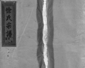 1993年重修徐氏宗谱[5卷首1卷]江西广信敦本堂徐姓电子版族谱下载