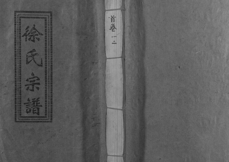 1994年修徐氏宗谱[37卷]江西修水南州堂徐姓电子版族谱下载