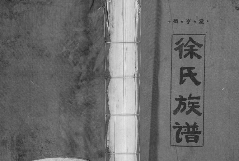 1997年兴邑城西内徐氏四修族谱[不分卷]江西兴国德亨堂徐姓电子版家谱下载