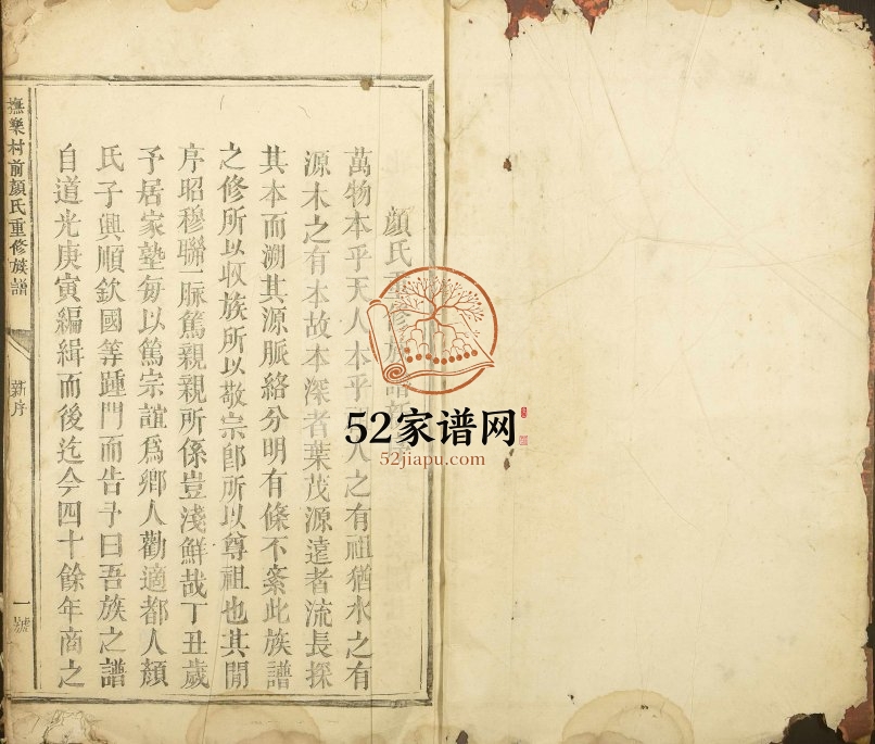1877年抚乐村前颜氏重修族谱 江西乐安颜姓电子版家谱下载