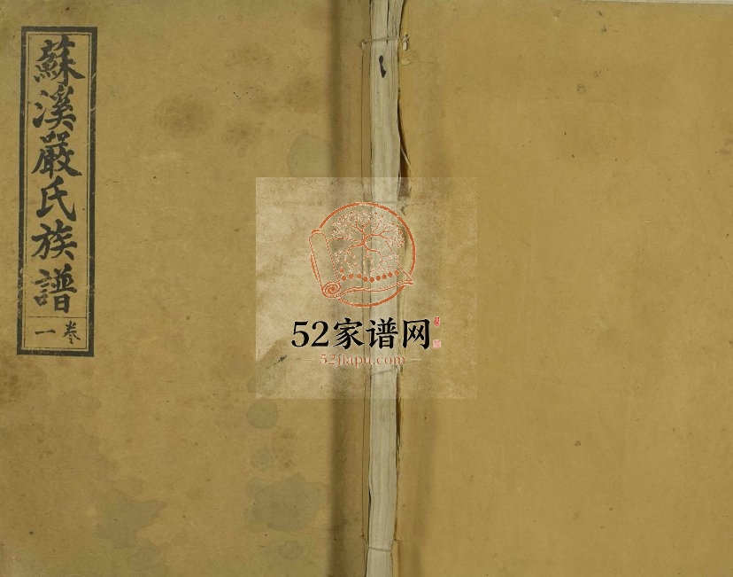 1940年修苏溪严氏族谱[20卷及卷首]江苏溧水 江西萍乡严姓电子版家谱下载