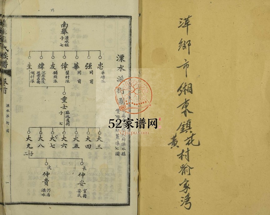 1940年修苏溪严氏族谱[20卷及卷首]江苏溧水 江西萍乡严姓电子版家谱下载