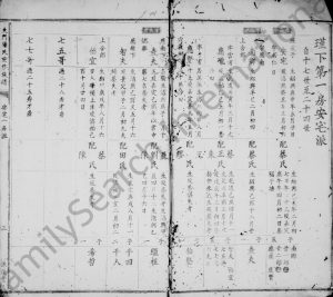 清代年间[阳氏族谱] 江西南康谏议堂阳姓电子版家谱下载