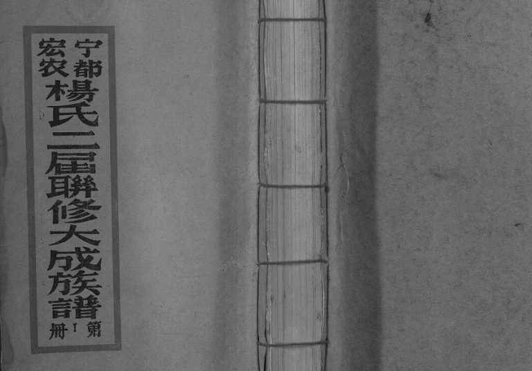 1994年宁都宏农杨氏二届联修大成族谱[不分卷]江西杨姓电子版家谱下载