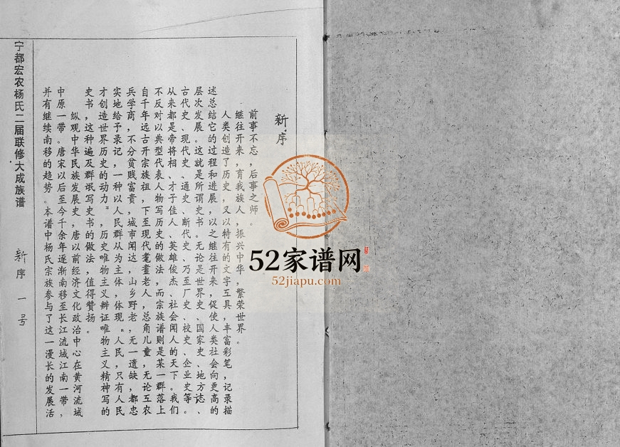 1994年宁都宏农杨氏二届联修大成族谱[不分卷]江西杨姓电子版家谱下载