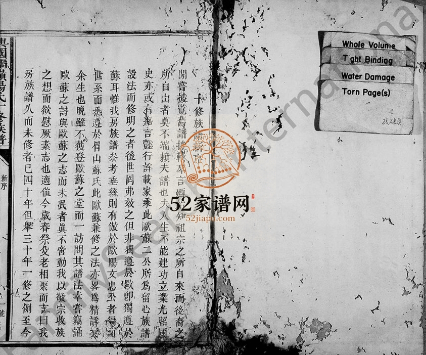 1915年杨氏十修族谱[4卷]江西兴国 永丰 于都庆远堂杨姓电子版家谱下载