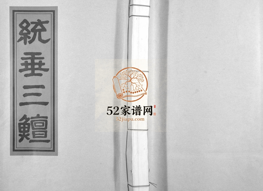 2014年修杨氏大成族谱 江西丰城三鳣堂杨姓电子版家谱下载