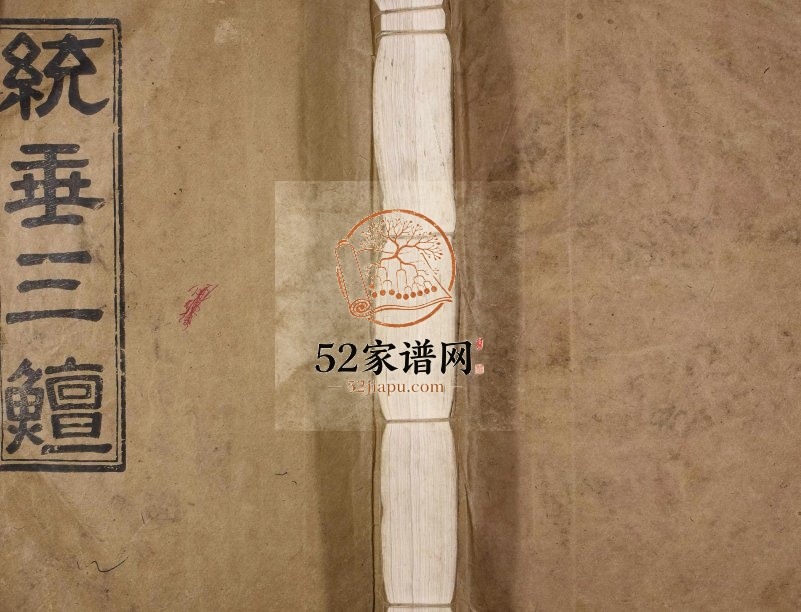 1989年修杨氏大成族谱[不分卷]江西丰城三鳣堂杨姓电子版家谱下载