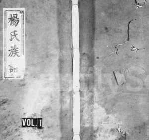 1866年修杨氏族谱[10卷及卷首]江西万载清白堂杨姓电子版家谱下载