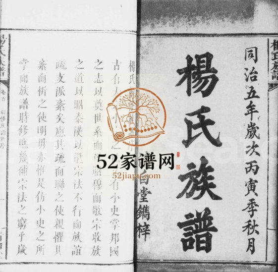 1866年修杨氏族谱[10卷及卷首]江西万载清白堂杨姓电子版家谱下载