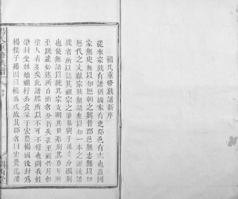 1909年杨氏重修族谱[不分卷]江西泰和关西堂杨姓电子版家谱下载