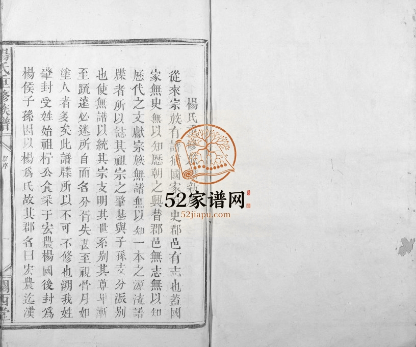 1909年杨氏重修族谱[不分卷]江西泰和关西堂杨姓电子版家谱下载