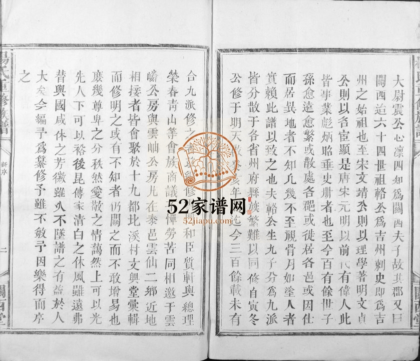 1909年杨氏重修族谱[不分卷]江西泰和关西堂杨姓电子版家谱下载