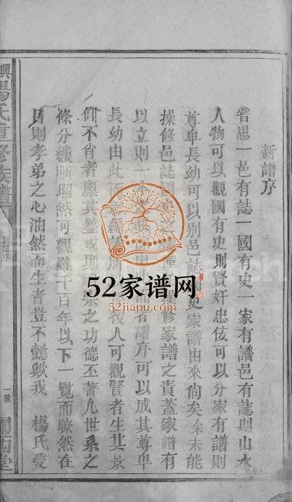 1924年兴邑杨氏重修族谱[以册代卷]江西吉安 兴国关西堂杨姓电子版家谱下载
