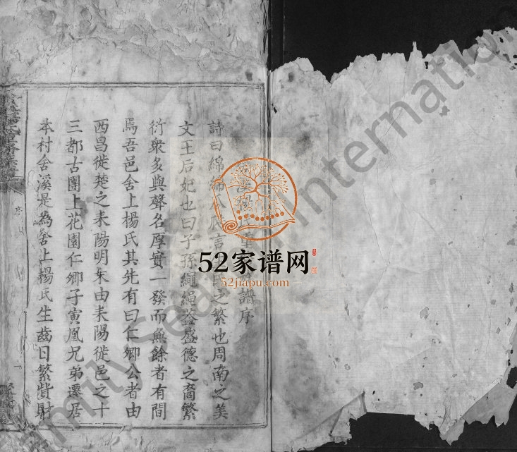 1850年舍溪杨氏重修族谱[不分卷]江西吉水聚善堂杨姓电子版家谱下载