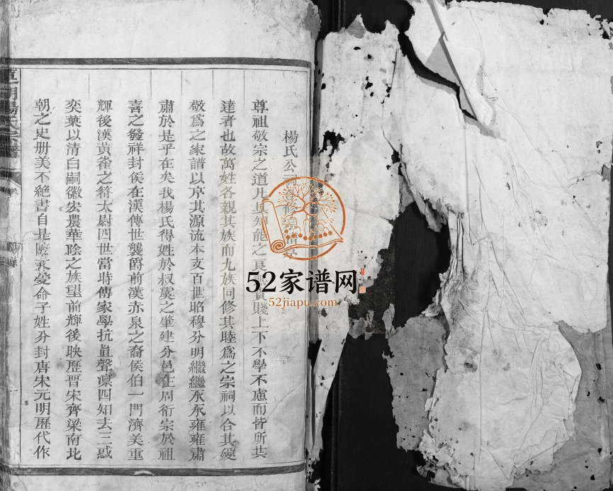 1751年修莲湖杨氏宗谱 江西丰城杨姓电子版族谱下载