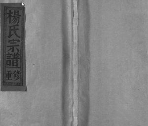 1994年重修锦滩杨氏宗谱[8卷及卷首]江西广信 永丰杨姓电子版族谱下载