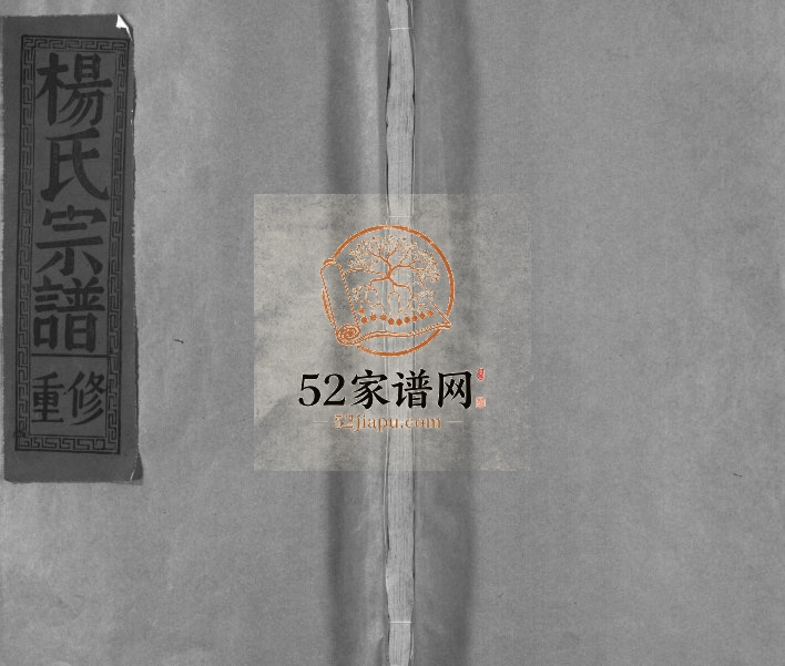 1994年重修锦滩杨氏宗谱[8卷及卷首]江西广信 永丰杨姓电子版族谱下载