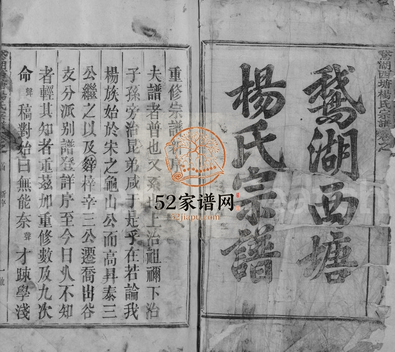 1927年修鵞湖西塘杨氏宗谱[18卷首1卷]江西铅山杨姓电子版族谱下载