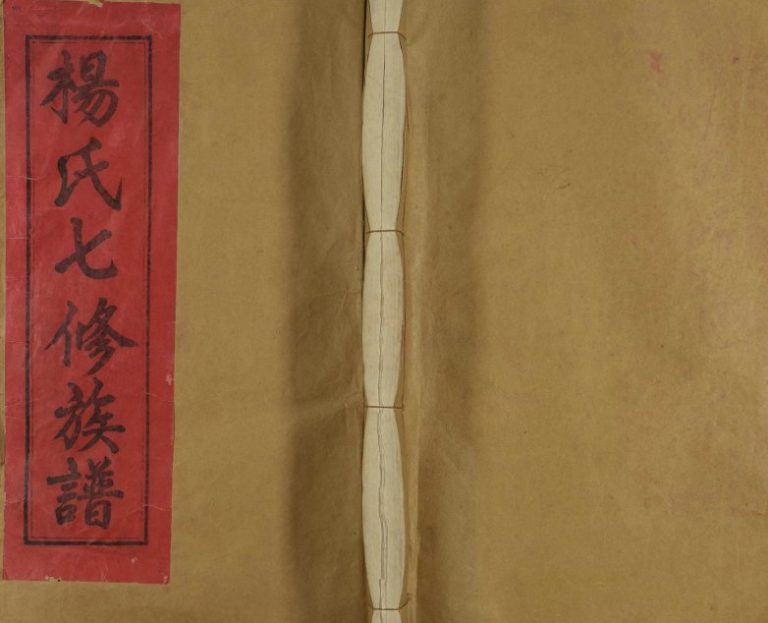 1994年修桥头杨氏族谱[不分卷]江西和吉安杨姓电子版家谱下载