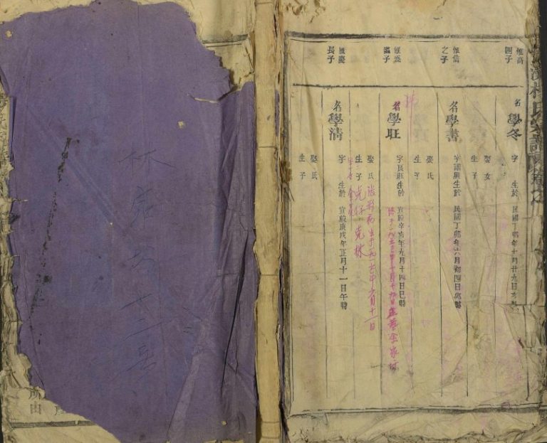 1927年修锦滩杨氏宗谱[残卷]江西永丰杨姓电子版族谱下载