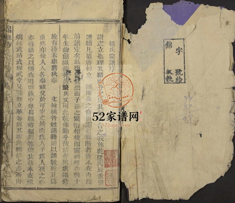 1927年修锦滩杨氏宗谱[残卷]江西永丰杨姓电子版族谱下载