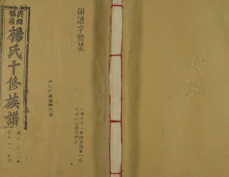 1995年兴国福岭杨氏十修族谱 江西杨姓电子版家谱下载