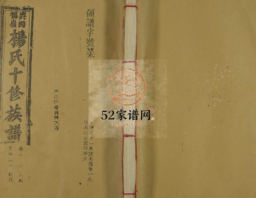 1995年兴国福岭杨氏十修族谱 江西杨姓电子版家谱下载