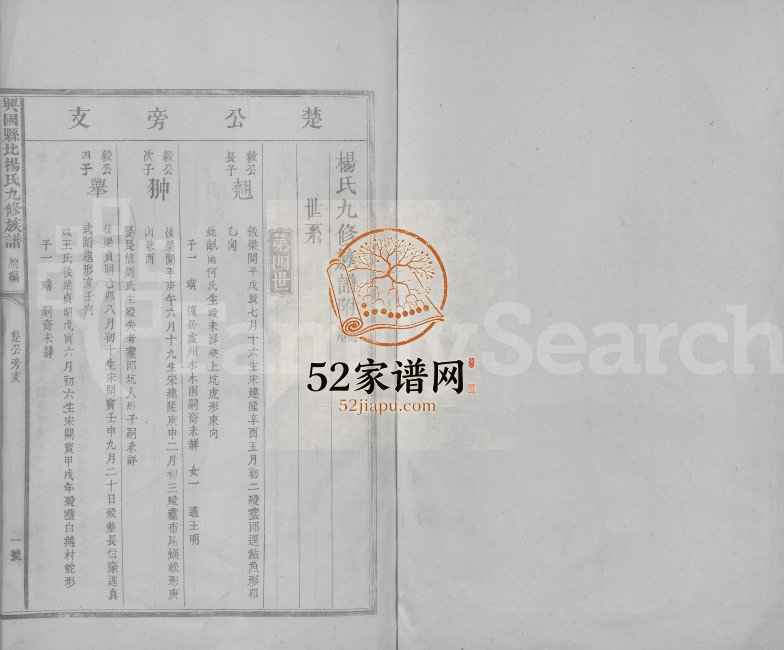 1923年兴国县北杨氏九修族谱[不分卷]江西杨姓电子版家谱下载