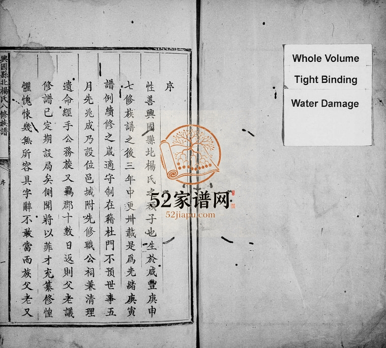 1891年兴国县北杨氏八修族谱[不分卷]江西杨姓电子版家谱下载