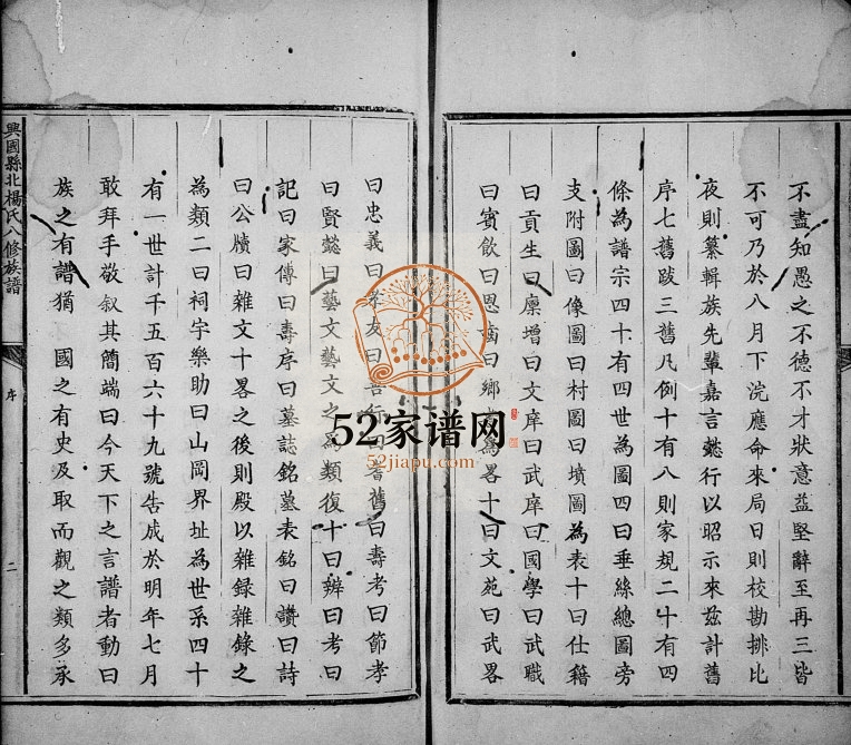 1891年兴国县北杨氏八修族谱[不分卷]江西杨姓电子版家谱下载