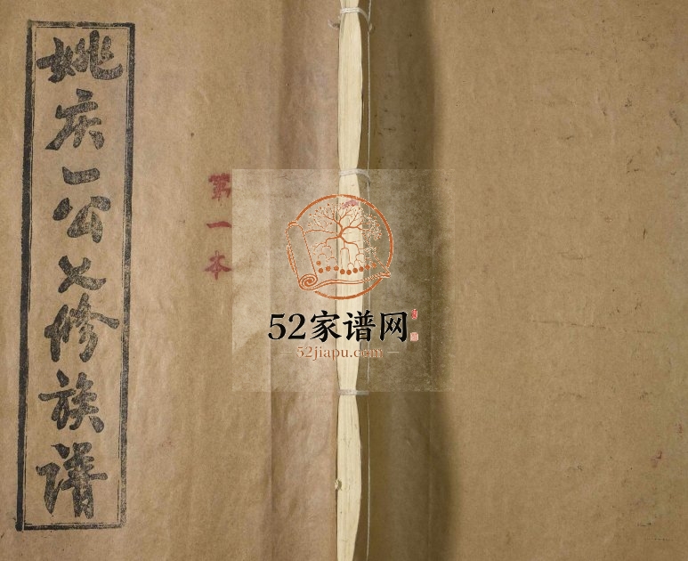 1994年姚庆一公七修族谱 江西广昌姚姓电子版家谱下载