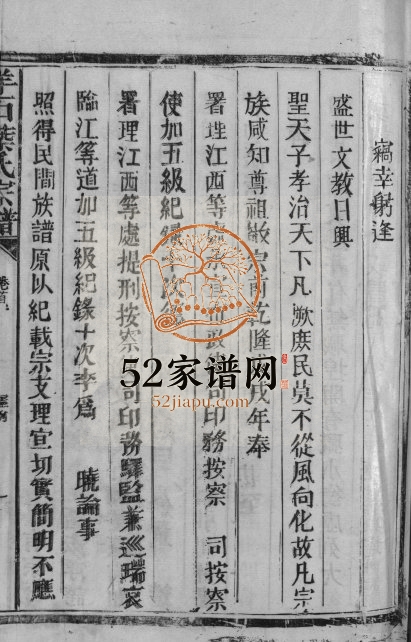 1993年七修羊石叶氏宗谱[12卷首2卷]江西广信 铅山叶姓电子版族谱下载