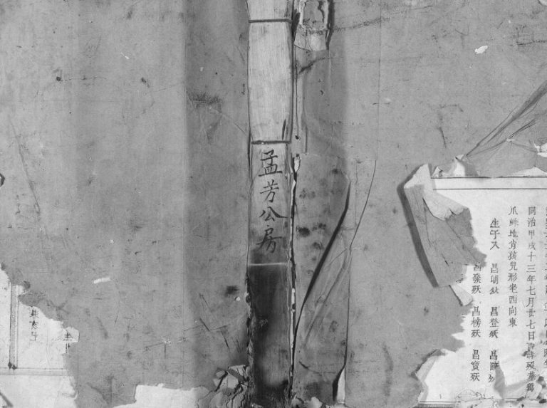 1919年汝南应氏八修族谱 福建三明建宁 江西兴国 于都应姓电子版家谱下载